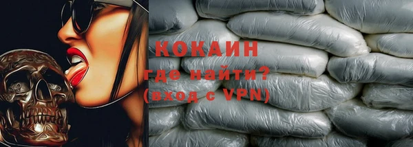 прущие грибы Магадан