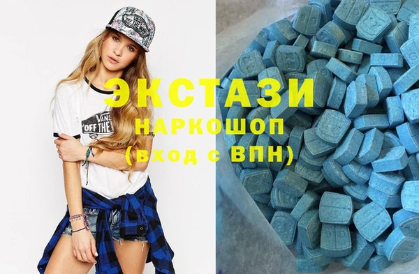 стаф Магас