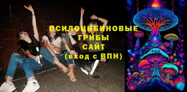 прущие грибы Магадан