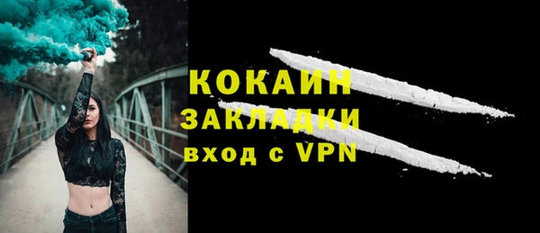 прущие грибы Магадан