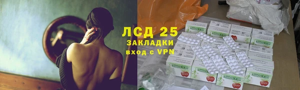 стаф Магас