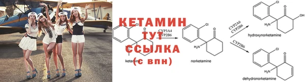 прущие грибы Магадан