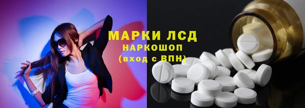 стаф Магас