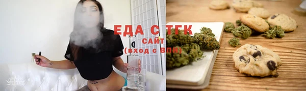 стаф Магас