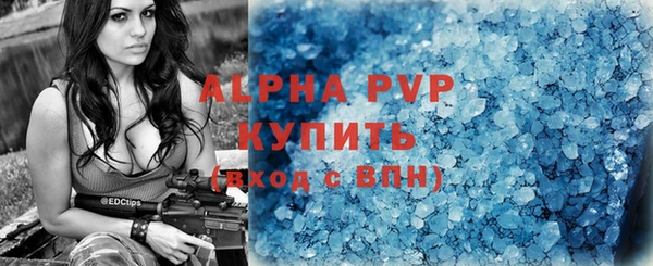 стаф Магас