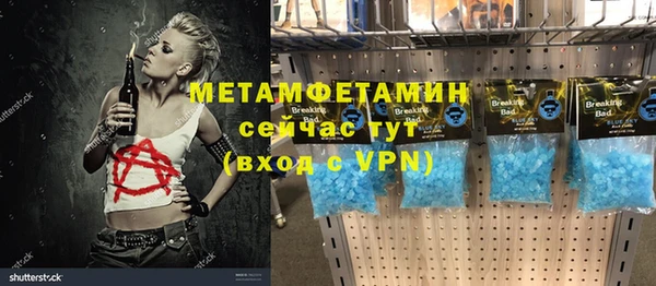 прущие грибы Магадан