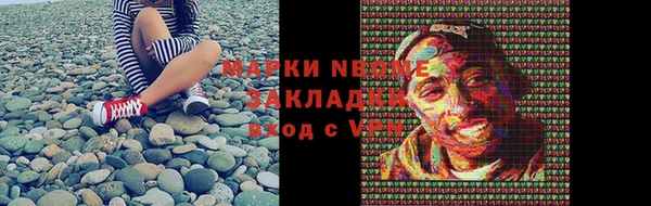 прущие грибы Магадан