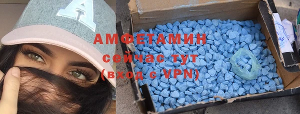 стаф Магас