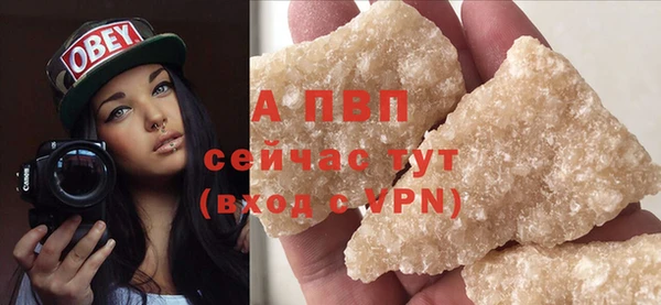 стаф Магас