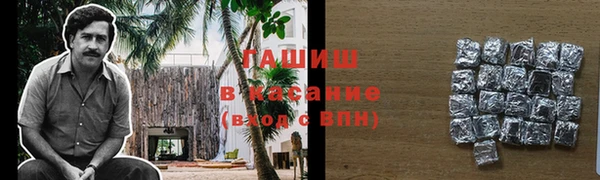 прущие грибы Магадан
