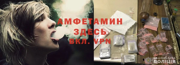 стаф Магас