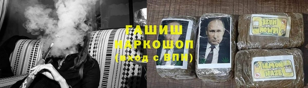 стаф Магас