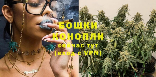 стаф Магас
