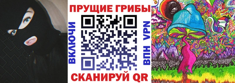 Псилоцибиновые грибы GOLDEN TEACHER  Купить  Власиха 